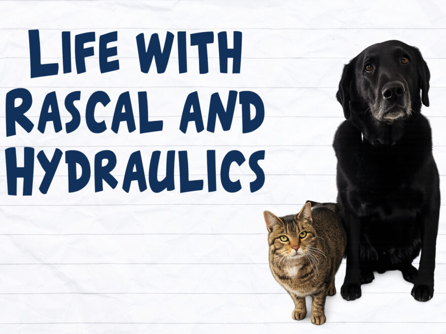 Life with Rascal and Hydraulics